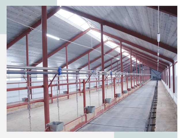 Строительство коровников в Волгодонске от 657 руб.