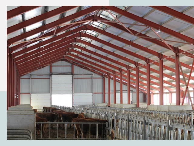 Строительство коровников в Волгодонске