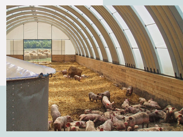 Строительство свинарников в Волгодонске